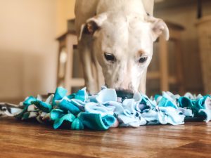 pets at home snuffle mat