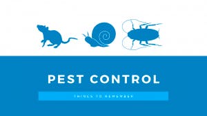 Pest Control Dog Danger